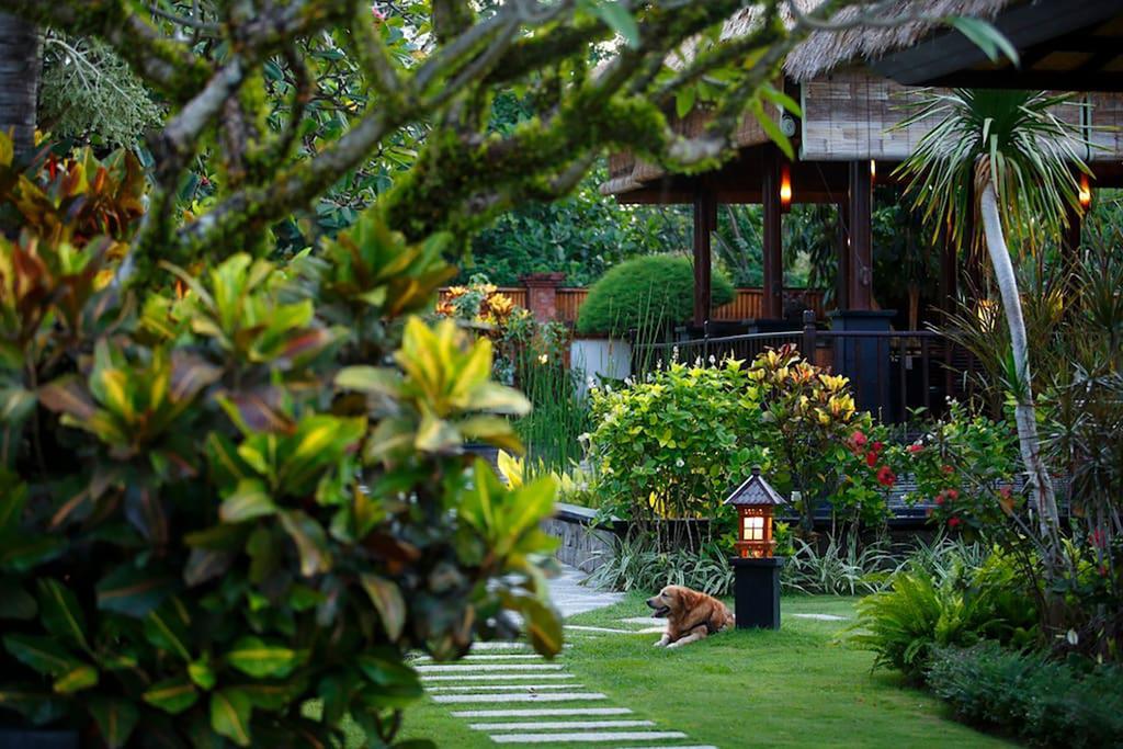 Villa L'Orange Bali Keramas Oda fotoğraf